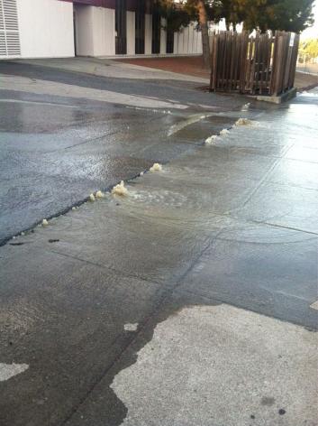 N.05.Flood.Cynthia.Tran